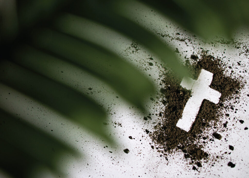 Cross draw in ashes with palm fronds in foreground