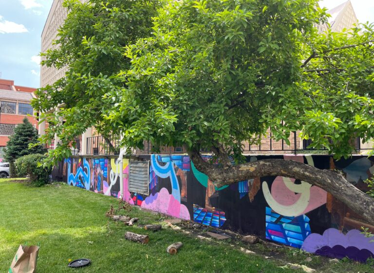 Photo of apple tree and patio mural